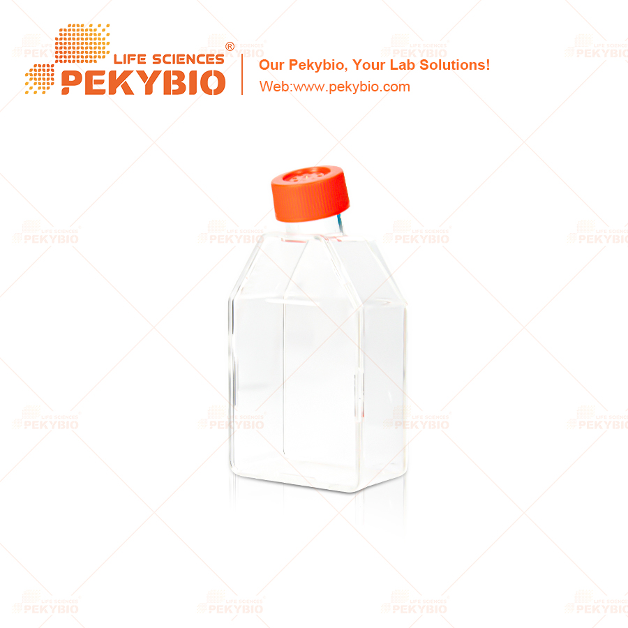 PK00263--25c㎡-25cm2-Cell-Culture-Flask,-50mL,-Vent-Cap,--Tissue-Culture-(TC)-Treated,-St-(1).jpg